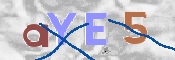 CAPTCHA 驗證圖片