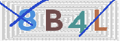 CAPTCHA 驗證圖片