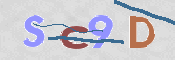 CAPTCHA 驗證圖片