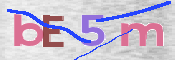 CAPTCHA 驗證圖片