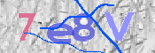 CAPTCHA 驗證圖片