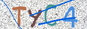 CAPTCHA 驗證圖片