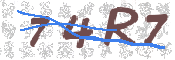 CAPTCHA 驗證圖片