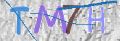 CAPTCHA 驗證圖片