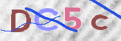 CAPTCHA 驗證圖片
