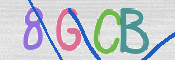 CAPTCHA 驗證圖片