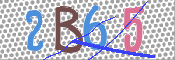 CAPTCHA 驗證圖片