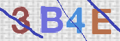 CAPTCHA 驗證圖片