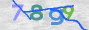 CAPTCHA 驗證圖片