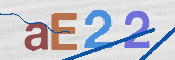 CAPTCHA 驗證圖片