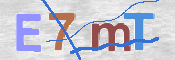 CAPTCHA 驗證圖片