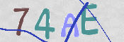 CAPTCHA 驗證圖片