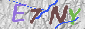 CAPTCHA 驗證圖片