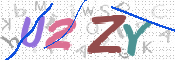 CAPTCHA 驗證圖片