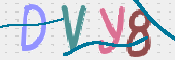 CAPTCHA 驗證圖片