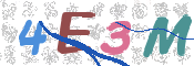 CAPTCHA 驗證圖片