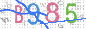 CAPTCHA 驗證圖片