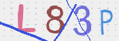 CAPTCHA 驗證圖片