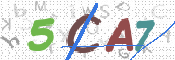 CAPTCHA 驗證圖片