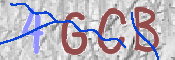 CAPTCHA 驗證圖片