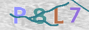 CAPTCHA 驗證圖片