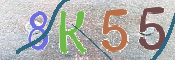CAPTCHA 驗證圖片