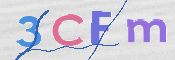 CAPTCHA 驗證圖片