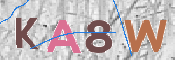 CAPTCHA 驗證圖片