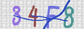 CAPTCHA 驗證圖片