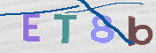 CAPTCHA 驗證圖片