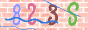 CAPTCHA 驗證圖片