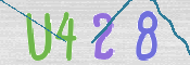 CAPTCHA 驗證圖片