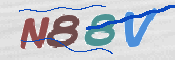 CAPTCHA 驗證圖片
