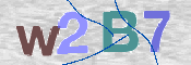 CAPTCHA 驗證圖片