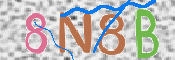 CAPTCHA 驗證圖片