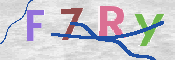 CAPTCHA 驗證圖片