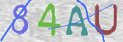 CAPTCHA 驗證圖片