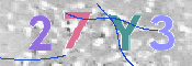 CAPTCHA 驗證圖片
