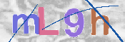 CAPTCHA 驗證圖片