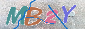 CAPTCHA 驗證圖片