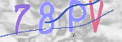 CAPTCHA 驗證圖片