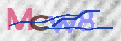 CAPTCHA 驗證圖片
