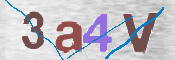 CAPTCHA 驗證圖片