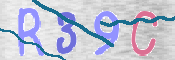 CAPTCHA 驗證圖片