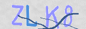 CAPTCHA 驗證圖片