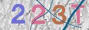 CAPTCHA 驗證圖片