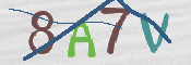 CAPTCHA 驗證圖片