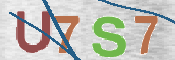 CAPTCHA 驗證圖片