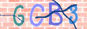 CAPTCHA 驗證圖片
