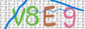 CAPTCHA 驗證圖片